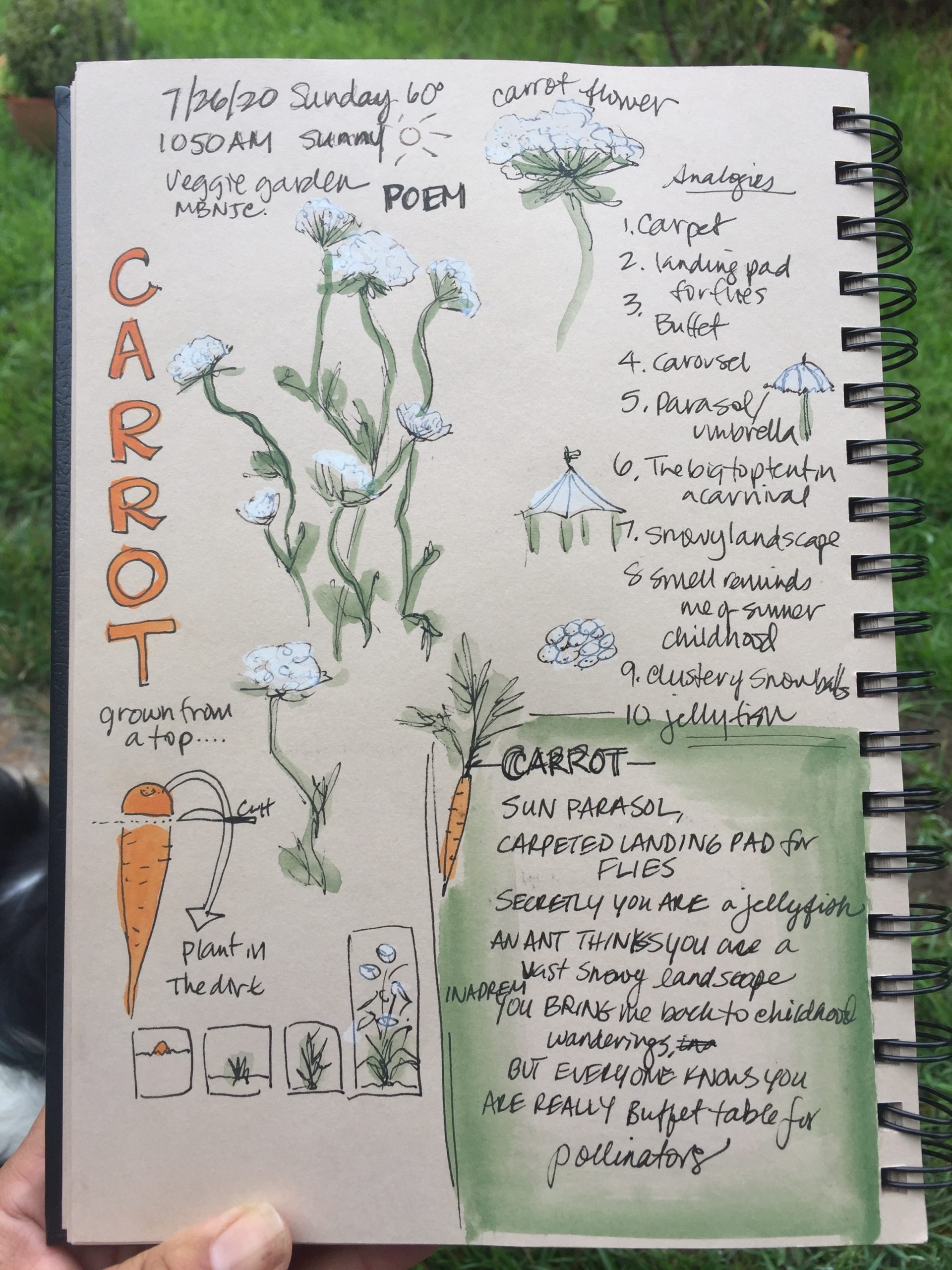 More Words: Adding Poetry to your Nature Journal (Video) - SPARK IN NATURE