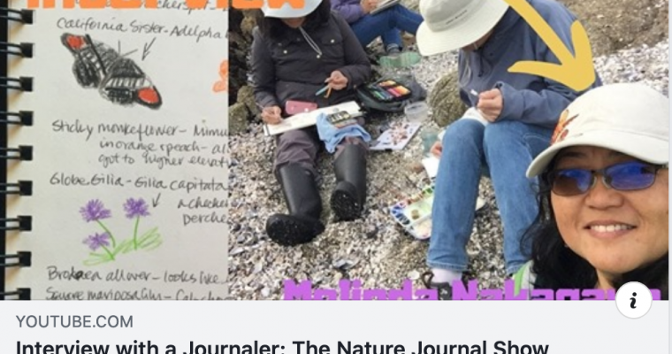 The Nature Journal Show interview