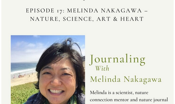 Journaling with Nature Podcast Interview