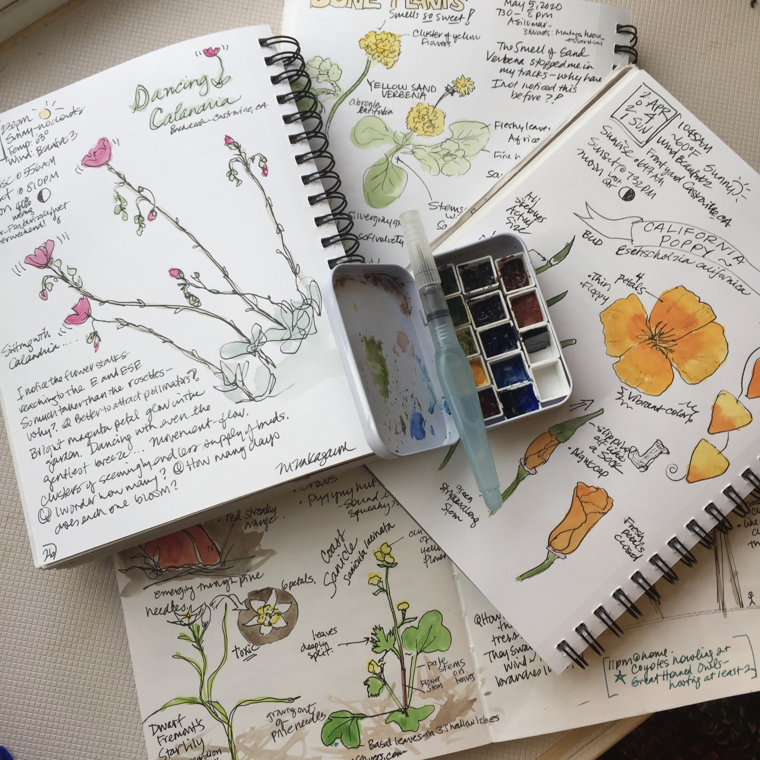 Art Journaling for Beginners: 「Create Your Very Own Floral Natural Journal  by Using Things Around You!」