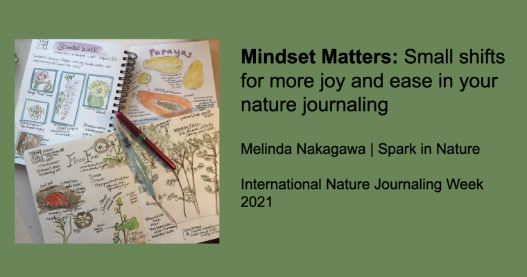 Mindset matters: Small shifts for ease and joy in nature journaling (video)