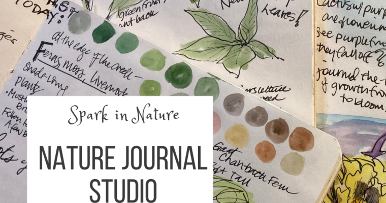 Nature Journal Studio Monthly class at the Santa Cruz Museum