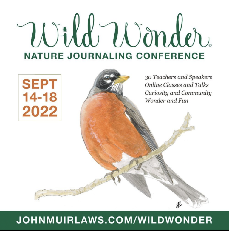 Wild Wonder Nature Journal Conference online SPARK IN NATURE