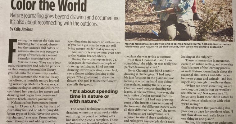 In the news! Nature journaling is more than drawing