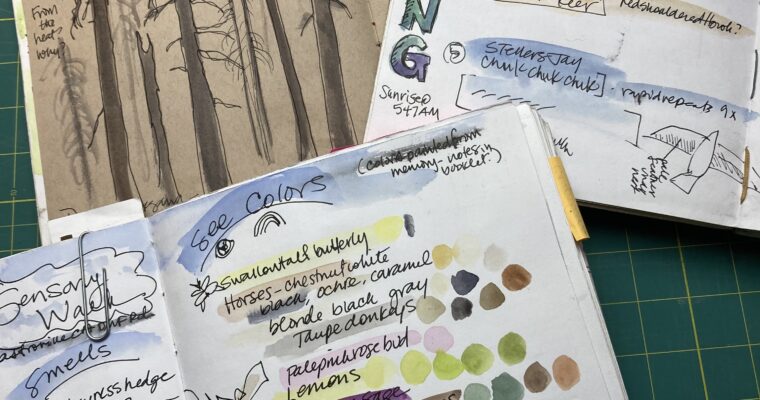 Reflections on Nature journaling