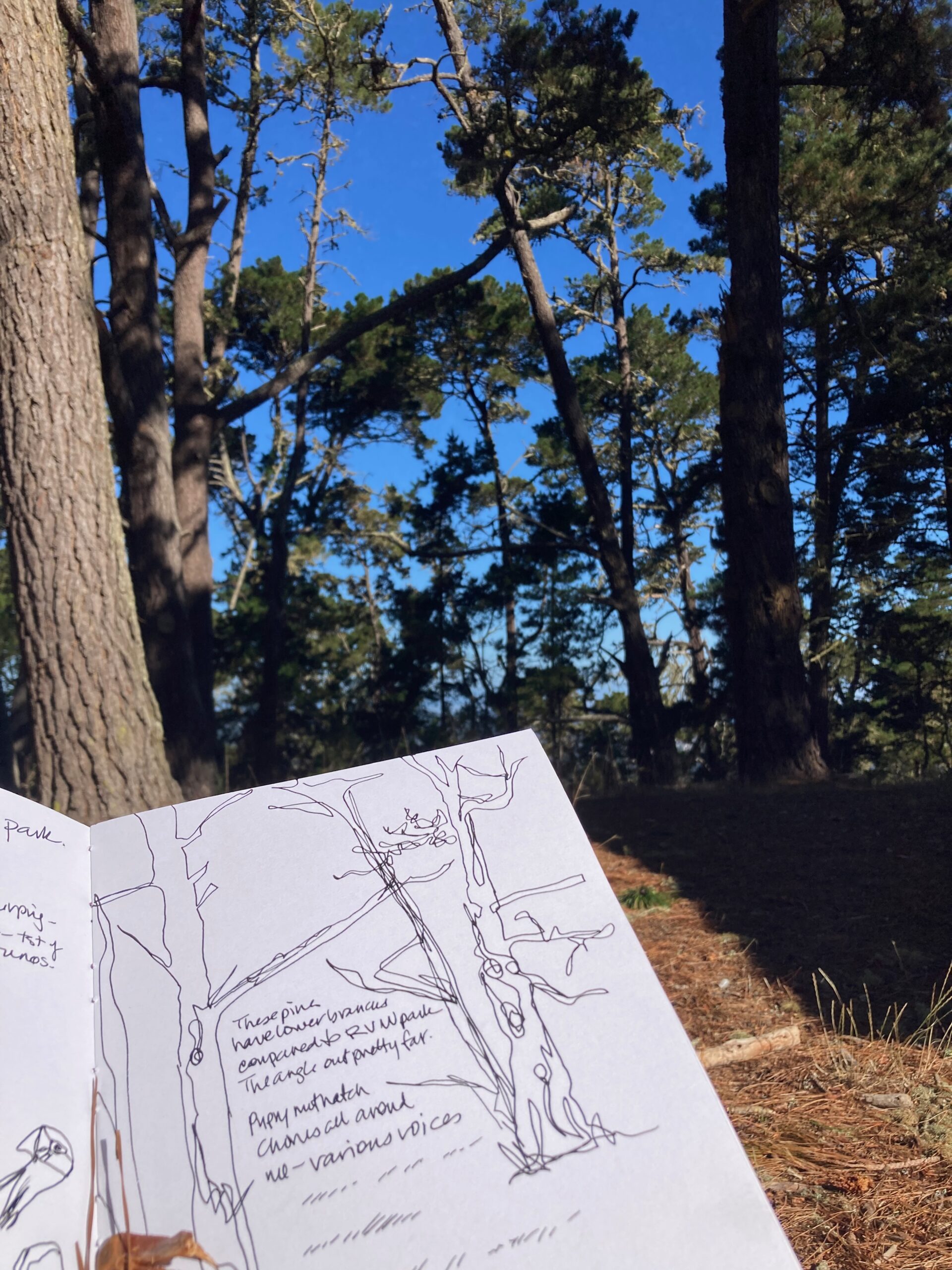 How to Journal - A Beginner's Guide to Journaling - Wonder Forest