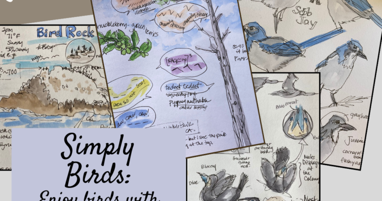 Simply Birds: Enjoy birds with less stress while nature journaling